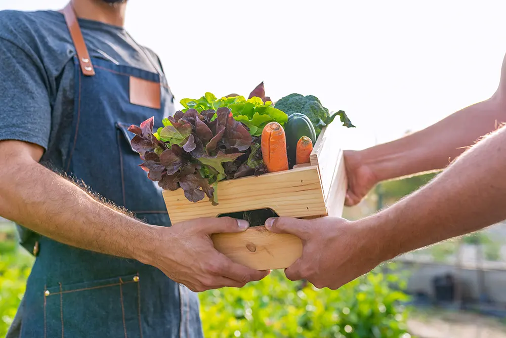 échange et partage agriculteur locaux de nos régions pays basque Bakery Bliss Café biarritz